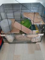 Hamster / knaagdieren kooi + benodigdheden, Animaux & Accessoires, Rongeurs & Lapins | Cages & Clapiers, Comme neuf, Cage, Enlèvement ou Envoi