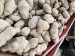 TE KOOP : Fontana  aardappelen (per palox), Zakelijke goederen, Ophalen