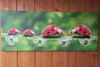 TE KOOP : Canvas lieveheersbeestjes, Ophalen, Nieuw