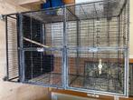 Knaagdieren kooi, Dieren en Toebehoren, Ophalen, Kooi, Gebruikt, Rat