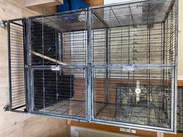 Knaagdieren kooi, Dieren en Toebehoren, Knaagdieren en Konijnen | Hokken en Kooien, Gebruikt, Kooi, 90 cm of meer, 75 tot 110 cm