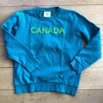 Groene sweater Ayacucho, Jongen, Trui of Vest, Gebruikt, Ophalen of Verzenden