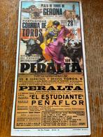 Poster vintage stierengevecht Costa Brava 1974, Ophalen