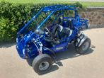 Buggy PGO BR150, Motos, Quads & Trikes