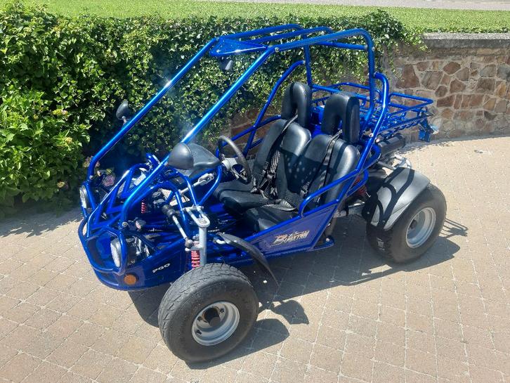Buggy PGO BR150, Motoren, Quads en Trikes, Ophalen