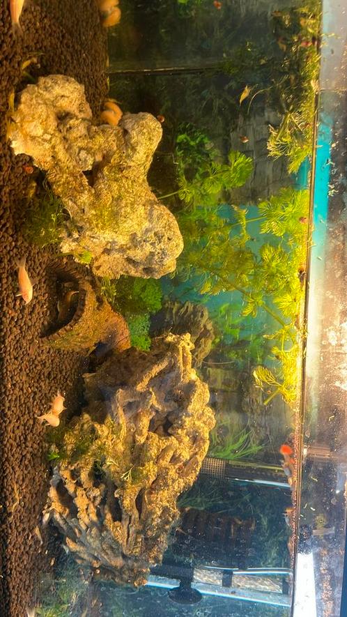 Vissen stenen verwarmer filter vissenvoer, Dieren en Toebehoren, Reptielen en Amfibieën | Toebehoren, Zo goed als nieuw, Ophalen