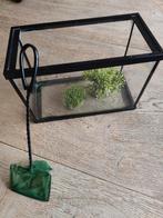 Visbak (aquarium) 30x20x15, Dieren en Toebehoren, Vissen | Aquaria en Toebehoren, Ophalen, Zo goed als nieuw