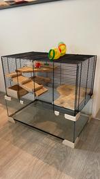 Leuke hamsterkooi te koop!, Animaux & Accessoires, Rongeurs & Lapins | Cages & Clapiers, Souris, Enlèvement, Utilisé, Moins de 60 cm
