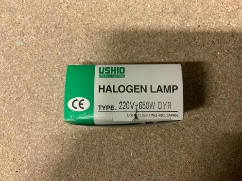 Usio 220v-650w DYL Halogeen lamp, Musique & Instruments, Lumières & Lasers, Comme neuf, Lumières, Couleur, Enlèvement ou Envoi