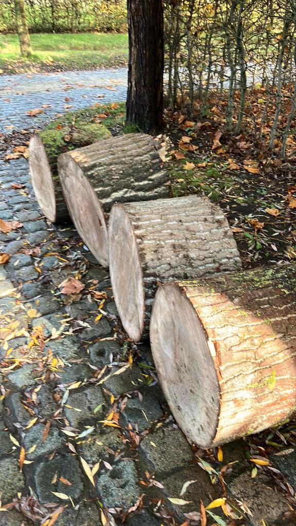 Nagelblok / blokken van stam, Doe-het-zelf en Bouw, Hout en Planken, Ophalen