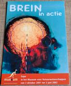 Postkaart: Museum voor Natuurwetenschappen (2001), Enlèvement ou Envoi, 1980 à nos jours, Non affranchie, Culture et Média