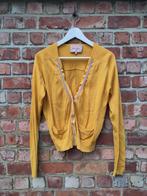 Truitje Annemie Verbeke, Kleding | Dames, Ophalen, Gedragen, Maat 38/40 (M), Geel