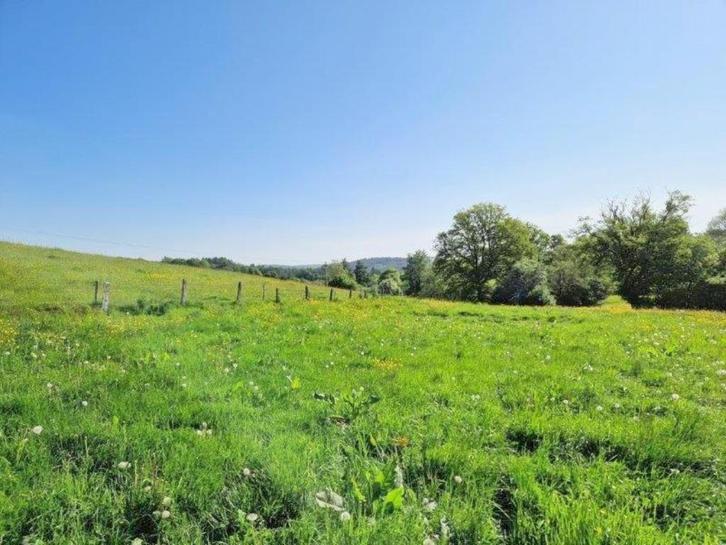 6830 Les Hayons: Prachtig gelegen grond van meer dan 1Ha., Immo, Gronden en Bouwgronden, 1500 m² of meer
