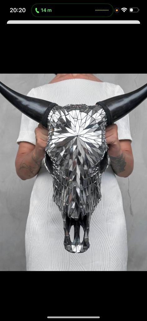 Koeens skull schedel handgemaakt !!, Huis en Inrichting, Woonaccessoires | Wanddecoraties, Nieuw, Ophalen