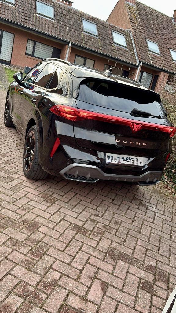 Cupra Terramar 1.5 mild-hybride, Auto's, Cupra, Terramar, 360° camera, ABS, Achteruitrijcamera, Adaptieve lichten, Adaptive Cruise Control