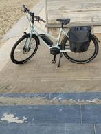 Batavus ego exclusive, Fietsen en Brommers, 56 cm of meer, Ophalen, Zo goed als nieuw, Batavus