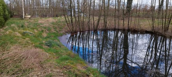 Vakantieverblijf Huisje (20m²) + Natuurgebied (2810m²), Immo, Buitenverblijven te koop