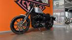 Harley-Davidson Chopper IRON 883 (bj 2021), Motoren, 883 cc, Overig, ABS