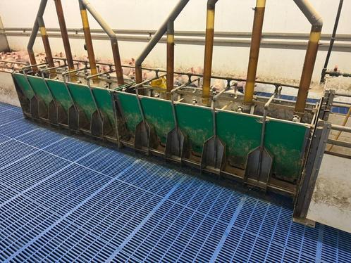 Drowaka biggen bakken [420], Dieren en Toebehoren, Schapen, Geiten en Varkens