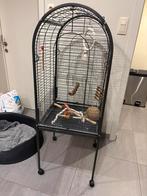 vogelkooi met alle toebehoorden, Dieren en Toebehoren, Ophalen, Zo goed als nieuw, Metaal, Vogelkooi