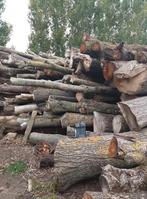 nog te verzagen brandhout..es. eik half droog, Tuin en Terras, Brandhout, Ophalen