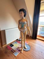 Mannequin/mannequin pour enfant, Enlèvement