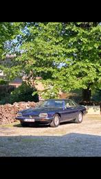 Jaguar XJS à vendre, Autos, Cuir, Achat, Beige, Carnet d'entretien