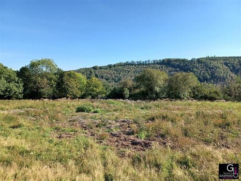 Grond à vendre à La Roche-En-Ardenne, Immo, Terrains & Terrains à bâtir, 1500 m² ou plus