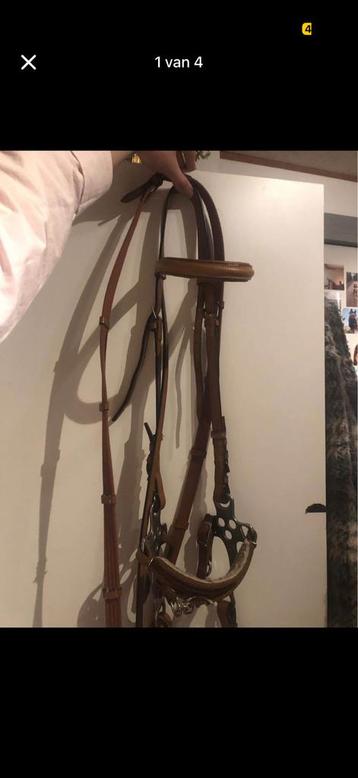 Hackamore beschikbaar voor biedingen