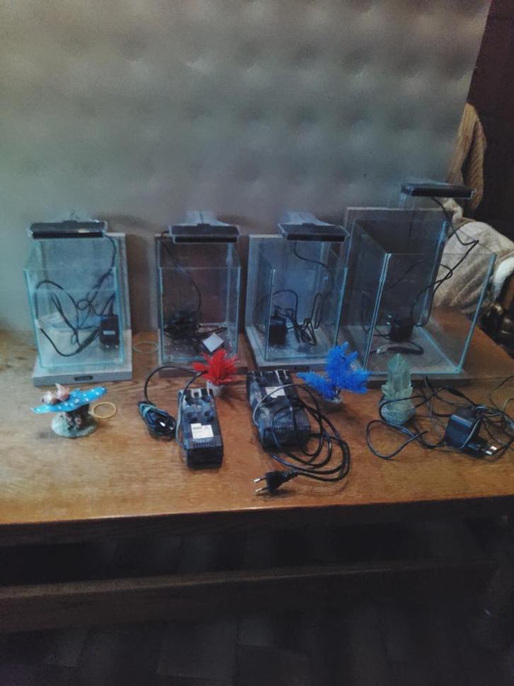 aquarium, Dieren en Toebehoren, Vissen | Aquaria en Toebehoren, Zo goed als nieuw, Ophalen