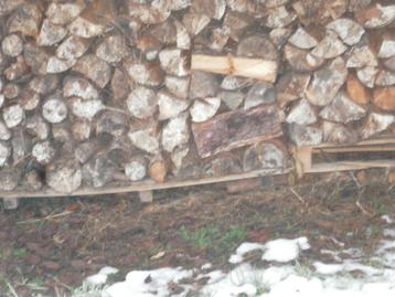 brandhout grove den beschikbaar voor biedingen