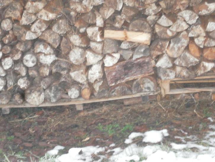 brandhout grove den, Tuin en Terras, Brandhout, Blokken, Overige houtsoorten, Minder dan 3 m³, Ophalen