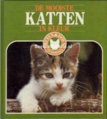 De mooiste katten in kleur / katten  / Reeks  Weten & Doen