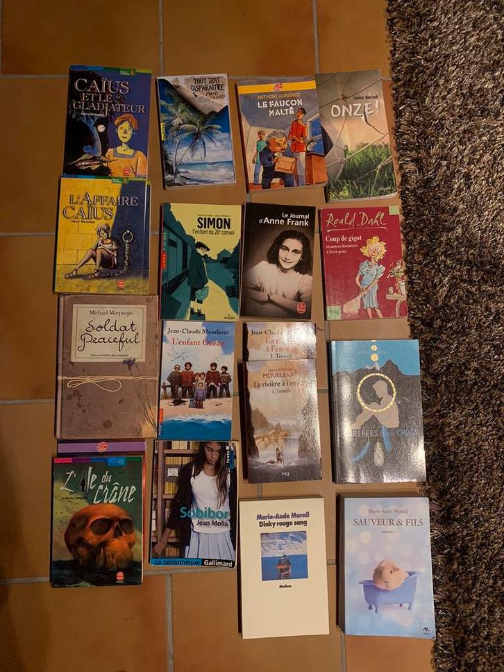 Livres jeunesse, Boeken, Kinderboeken | Jeugd | 13 jaar en ouder, Zo goed als nieuw