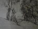 Gravure délicate Piet Rackwitsz Paysage avec de grands arbre, Enlèvement ou Envoi