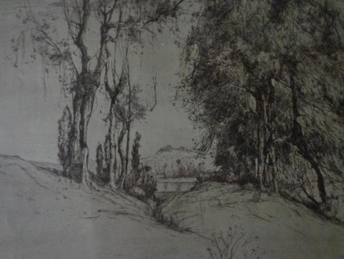 Gevoelige ets Piet Rackwitsz landschap met hoge bomen, Antiek en Kunst, Kunst | Etsen en Gravures, Ophalen of Verzenden