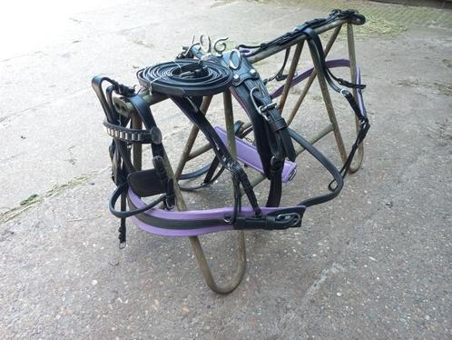 Nieuw shetland mini tuigje zwart met paars en bruin leren, Dieren en Toebehoren, Paarden en Pony's | Hoofdstellen en Tuigage, Nieuw