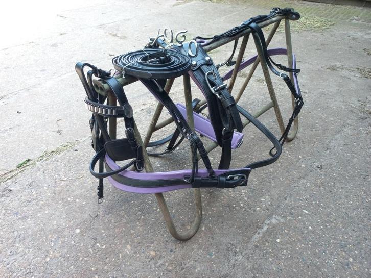 Nieuw shetland mini tuigje zwart met paars en bruin leren, Dieren en Toebehoren, Paarden en Pony's | Hoofdstellen en Tuigage, Nieuw