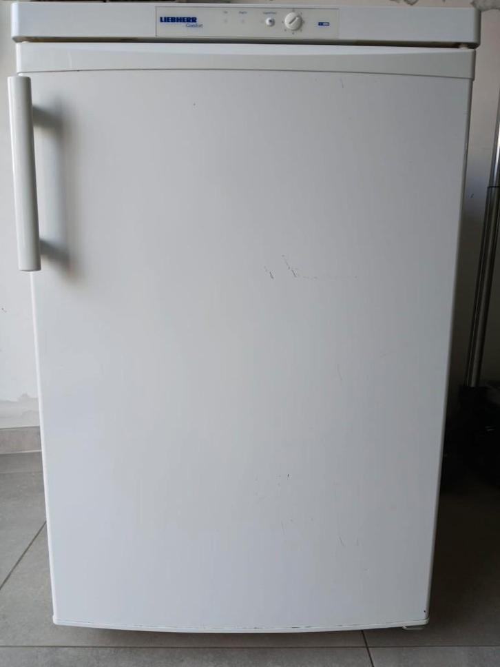 Liebherr G 1231 diepvrieskast, Elektronische apparatuur, Vriezers en Diepvrieskisten, Gebruikt, Vrijstaand, Vrieskast, 85 tot 120 cm