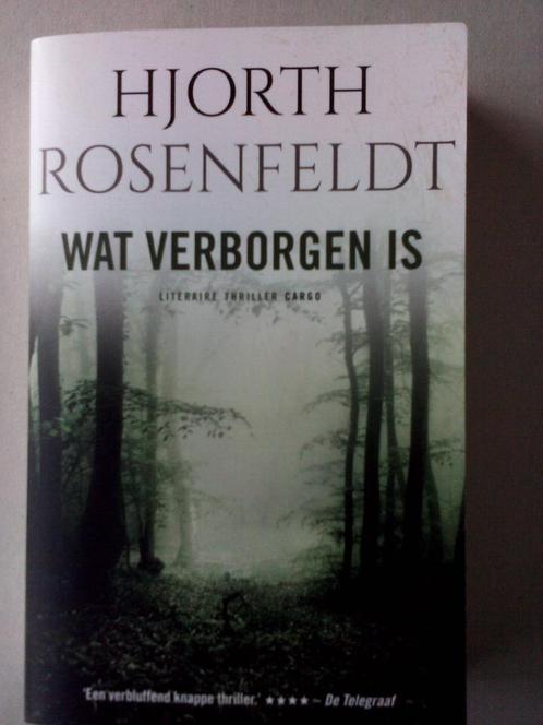 WAT VERBORGEN IS.  6 x thrillers. Totaalprijs 50,00 €, Livres, Thrillers, Comme neuf, Scandinavie, Enlèvement