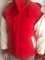 Jas Essentiel maat S / M, Kleding | Dames, Jassen | Winter, Ophalen of Verzenden, Nieuw, Maat 36 (S)