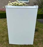 Ijskast koelkast   inhoud 113 L (vriesvak 16L) nieuw, Ophalen, Minder dan 85 cm, 100 tot 150 liter, Nieuw