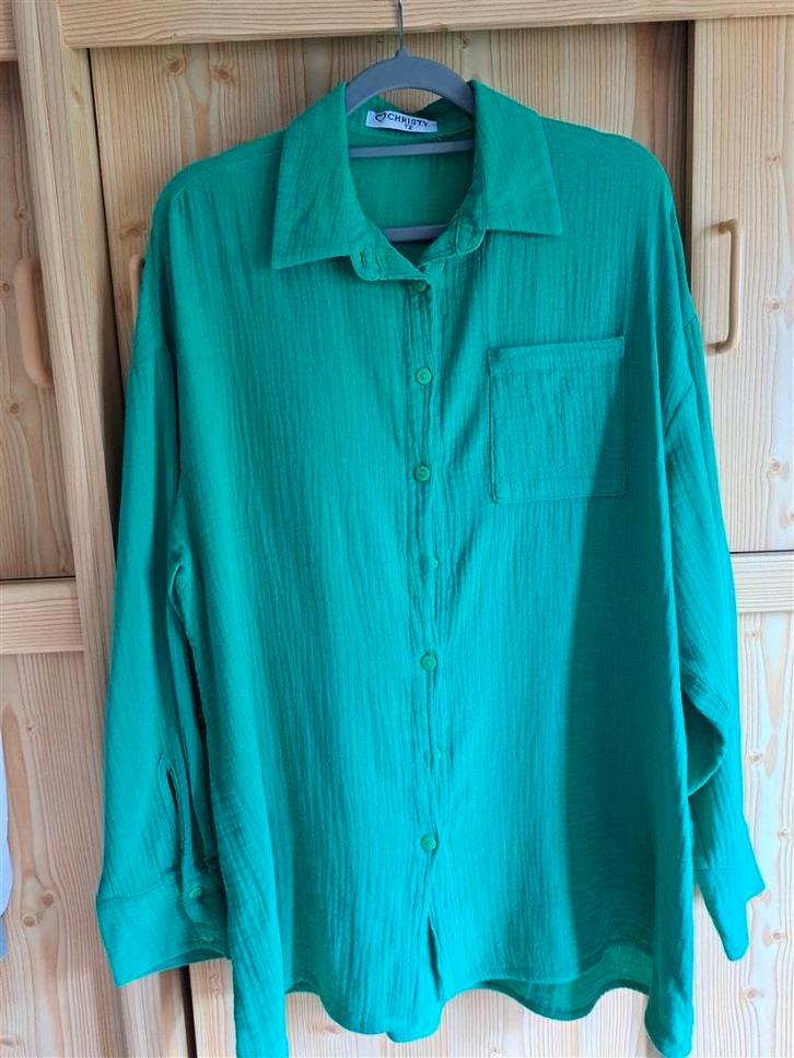 Blouse met lange mouwen felgroen maat 42/44, Kleding | Dames, Blouses en Tunieken, Zo goed als nieuw, Maat 42/44 (L), Groen, Ophalen of Verzenden