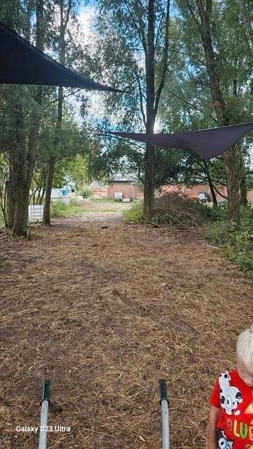 Fourage paddock plaatsen vrij beschikbaar voor biedingen