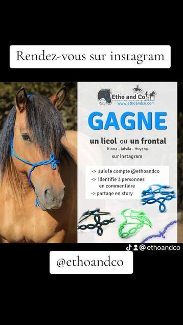 LICOL ou FRONTAL à gagner disponible aux enchères