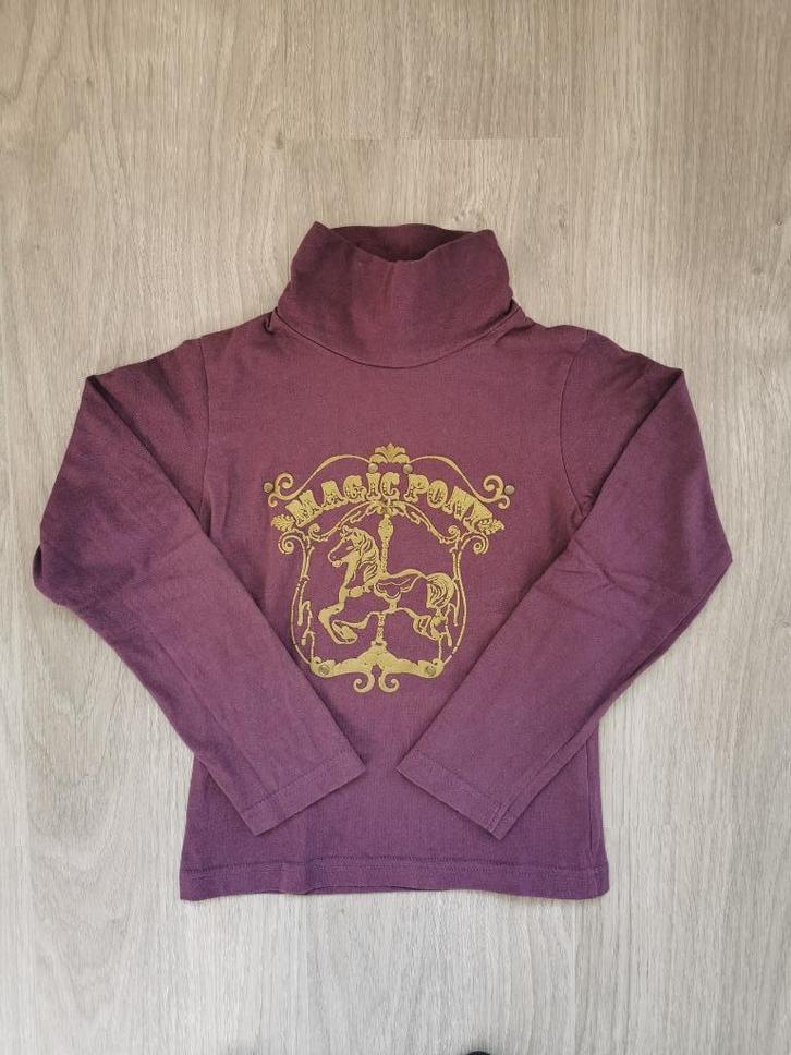 Paarse longsleeve pony - maat 116, Kinderen en Baby's, Kinderkleding | Maat 116, Gebruikt, Meisje, Shirt of Longsleeve, Ophalen of Verzenden