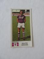 Panini football 76 Walter Meeuws Beerschot, Verzamelen, Ophalen of Verzenden, Zo goed als nieuw, Poster, Plaatje of Sticker