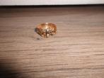 Gouden 18 karaat gouden ring met 2 grs stenen, Antiek en Kunst, Ophalen of Verzenden, Goud