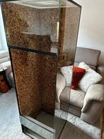 Terrarium 160x60x60, Enlèvement, Comme neuf