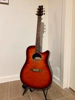 Alliance VP semi akoestische gitaar ‘90, Musique & Instruments, Enlèvement, Comme neuf